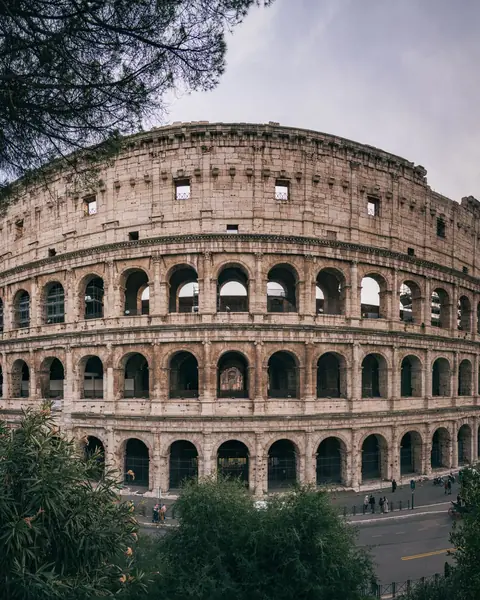 The Colosseum in Rome, Italy, framed by trees at sunset